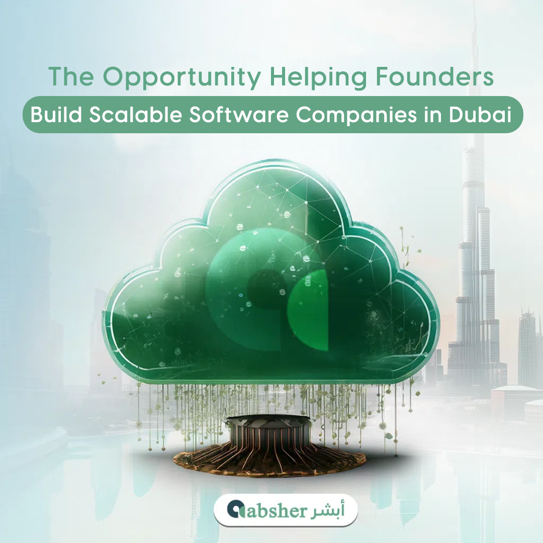 setup software business in dubai